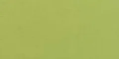 Spun Shirting Pistachio (BC-SPS-36)
