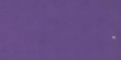 Spun Shirting Purple (BC-SPS-64)